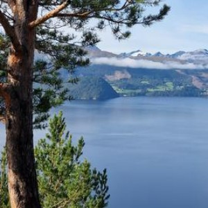 Der Storjford in Norwegen aus seiner schönsten Perspektive